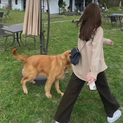 波士顿布莱奇中国历险记